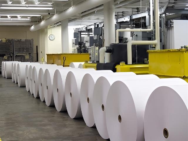 Pulp, Paper & Printing